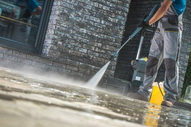 Best Building Exterior Washing  in Elk Rapids, MI